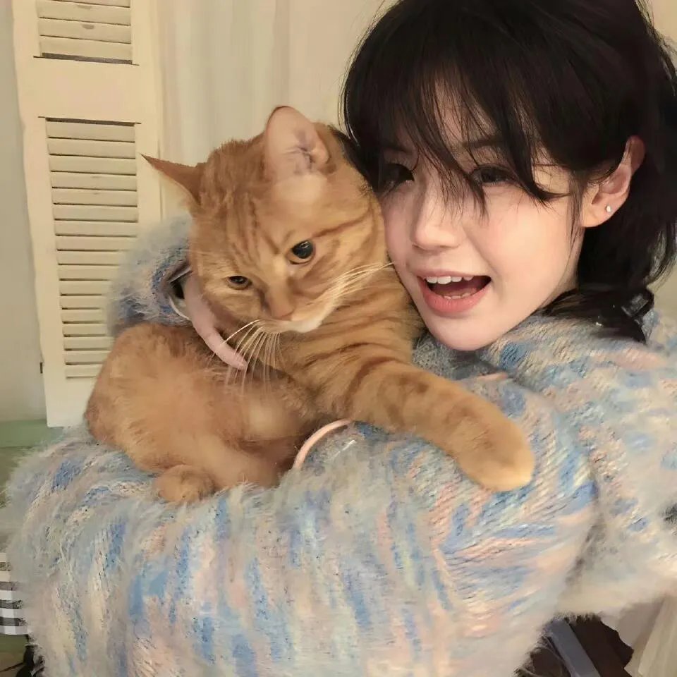 骑士龙战队龙装者